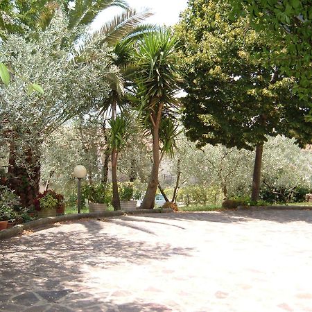 L'Uliveto Villa Montebuono  Kültér fotó