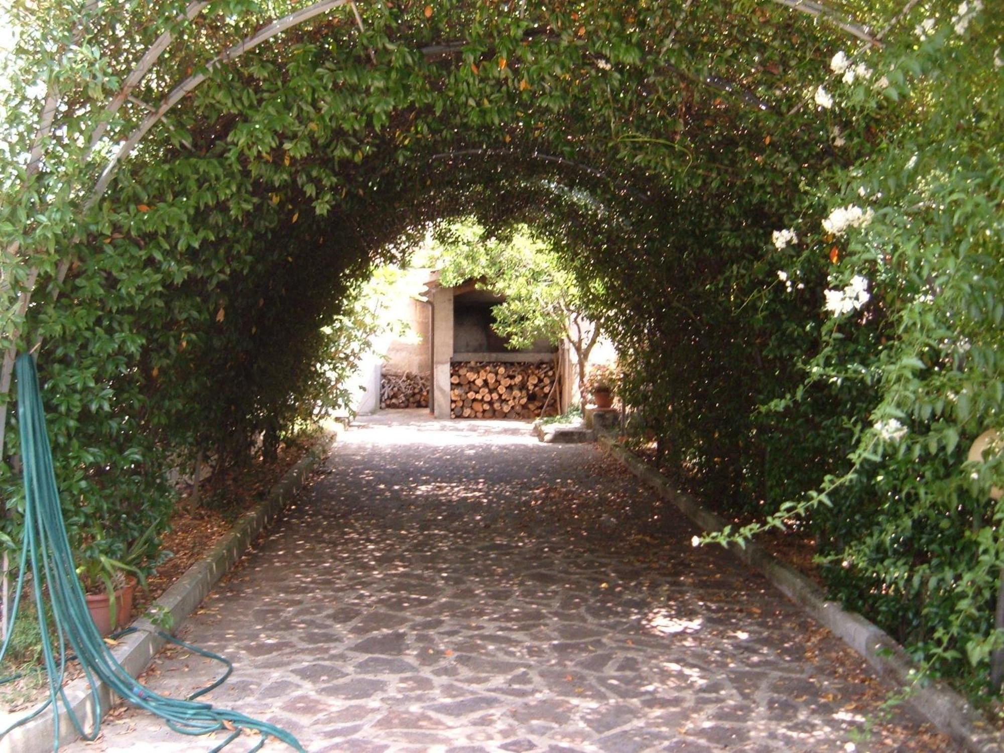 L'Uliveto Villa Montebuono  Kültér fotó