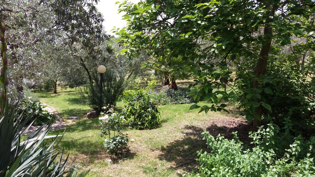 L'Uliveto Villa Montebuono  Kültér fotó