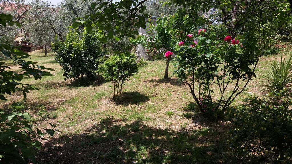 L'Uliveto Villa Montebuono  Kültér fotó